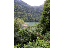 ����� ����