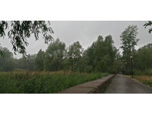 IMG 20190629 141256.jpg