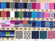 ���� 2019-2020