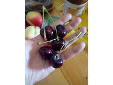 ������� , ������� ���� �� 250�, ����� 180-200�