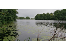 IMG 20190629 102452.jpg