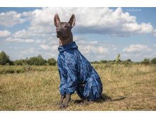 ����������� viber 2019-07-04 12-20-44.jpg