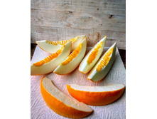 ���� ���������