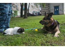 DSC01111.JPG