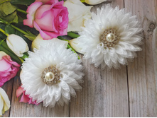 IMG 20190720 113708.jpg