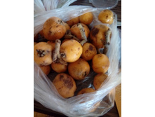 �������, 60-100� �� ��