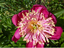 P1090158.JPG ����.