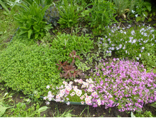 P1090128.JPG �������� �-� ����� ���������� ������� � ���������� �������.������ ���������.