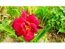 �������� ��� ��� �����