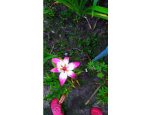 IMG 20190716 204704.jpg