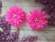 IMG 20190531 060547.jpg