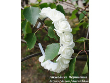 ������ ������� ������ ������ ����� � ������ �� ������� ���������� �������