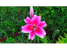 IMG 20190720 200031.jpg