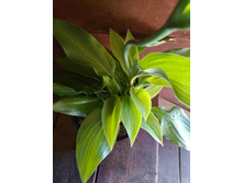 0-02-05-2039c6a1e1880fcb47c2d242485163f13c03c808d8158db928f038f70fcc0413 96ab9381.jpg