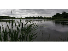 IMG 20190629 095055.jpg