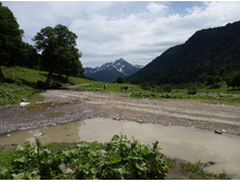 ���������� ����, ����� �����