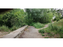 IMG 20190629 140457.jpg