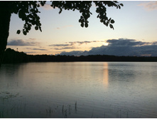 ����� �� ���������