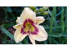 0-02-04-3acc777930db802722fa25e18603d8712e36b0ed23ce3f0142aa5aef029c08f6 full.jpg