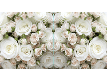 10915 300-160 (2 ���).png