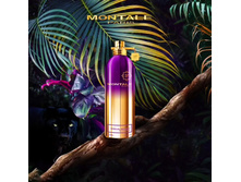 Montale Sensual Instinct ��������������� ���� 100 ��.	4051