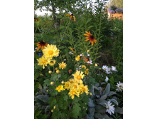 ���������� ��������� ������ �� 80 ���.