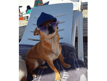 IMG 20190801 145724.png