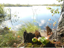 DSCN1455.JPG