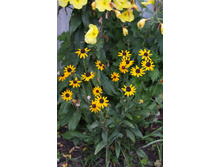 �������� ����.jpg