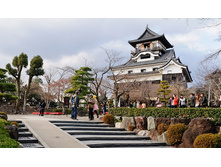 9019 603x354����� ������.jpg