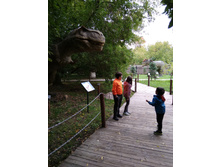 IMG 20190817 141356.jpg