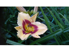 0-02-04-11d78fae49f269577e42dc1ccb4a416f60614900d3c01e276b99df9bc5afa030 full.jpg