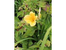 ������ ����.jpg