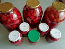 IMG 20190804 161917.jpg