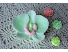 ���� ������ ������ �������