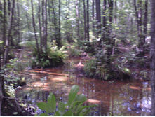 IMG 20190808 134024.jpg