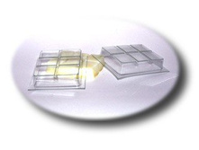 4��, �����, 25�/��