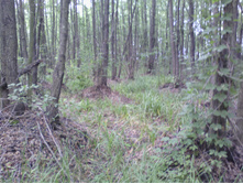 IMG 20190808 125954.jpg