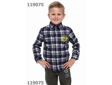 CLE ������� ���.781884/22���