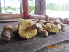 DSCN5624.JPG