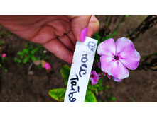 IMG 20190811 143011.jpg