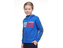 CLE ����� ���.893879/29��