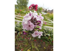 �������������� ������