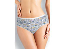 CLE B726 ����� ���.(��������)