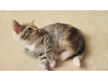 IMG 20190810 230745.jpg