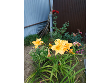 IMG 20190811 191723.jpg