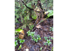 IMG 20190817 103954 1.jpg