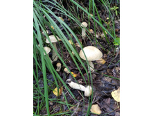 IMG 20190817 150546 1.jpg