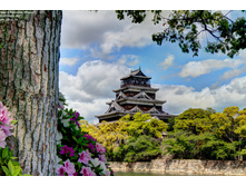 0 f1791 1813debc orig����� � ��������.jpg