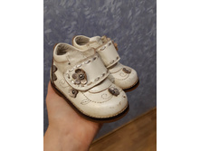 ������� �� ����� �������� (����������� ����) 250�